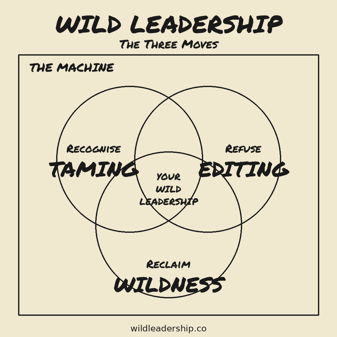 The Machine as an outer box containing three overlapping circles: Recognise the taming, Refuse the editing, Reclaim the wildness. Where the three meet sits your Wild Leadership.