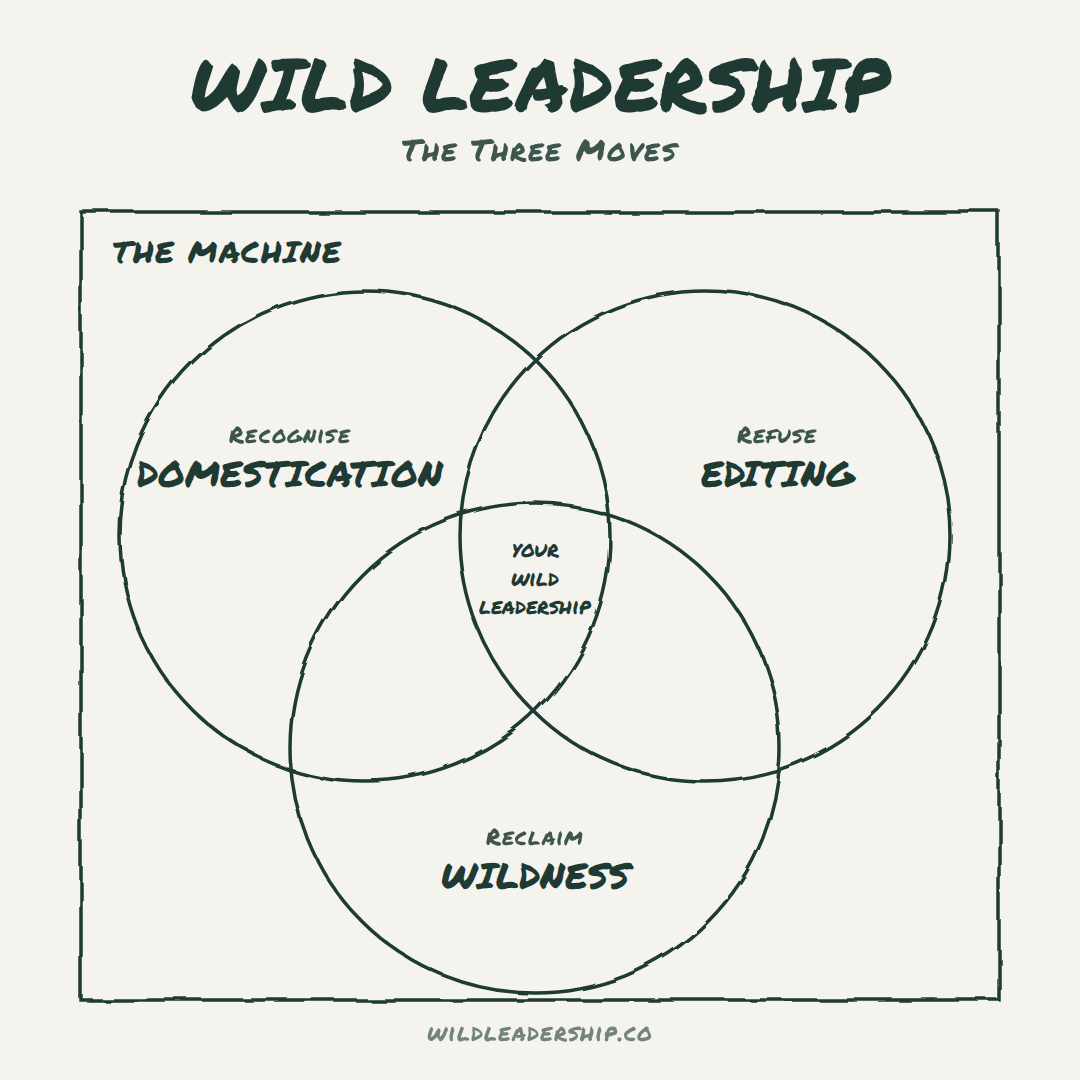 The Machine as an outer box containing three overlapping circles: Recognise domestication, Refuse editing, Reclaim wildness. Where the three meet sits your Wild Leadership.
